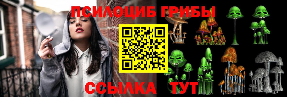 Псилоцибиновые грибы ЛСД  Вход с VPN  Балтийск 